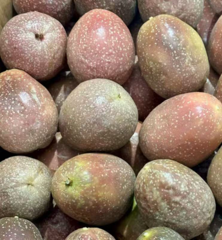 澳洲進口 超甜PANAMA 百香果 整件 6.5kg