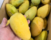 小台芒 1kg