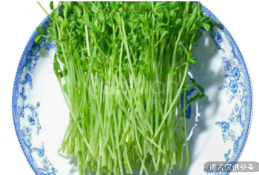 雪花豆苗
