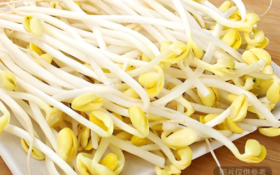 豆芽