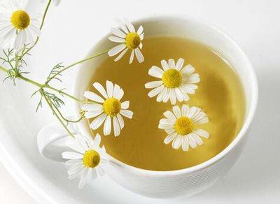 菊花茶