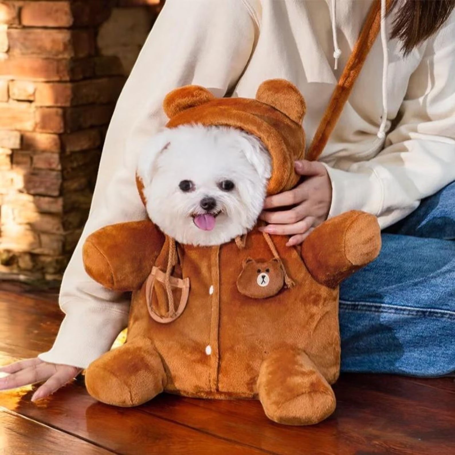 泰迪熊寵物包:適合小型犬的舒適毛絨斜背包