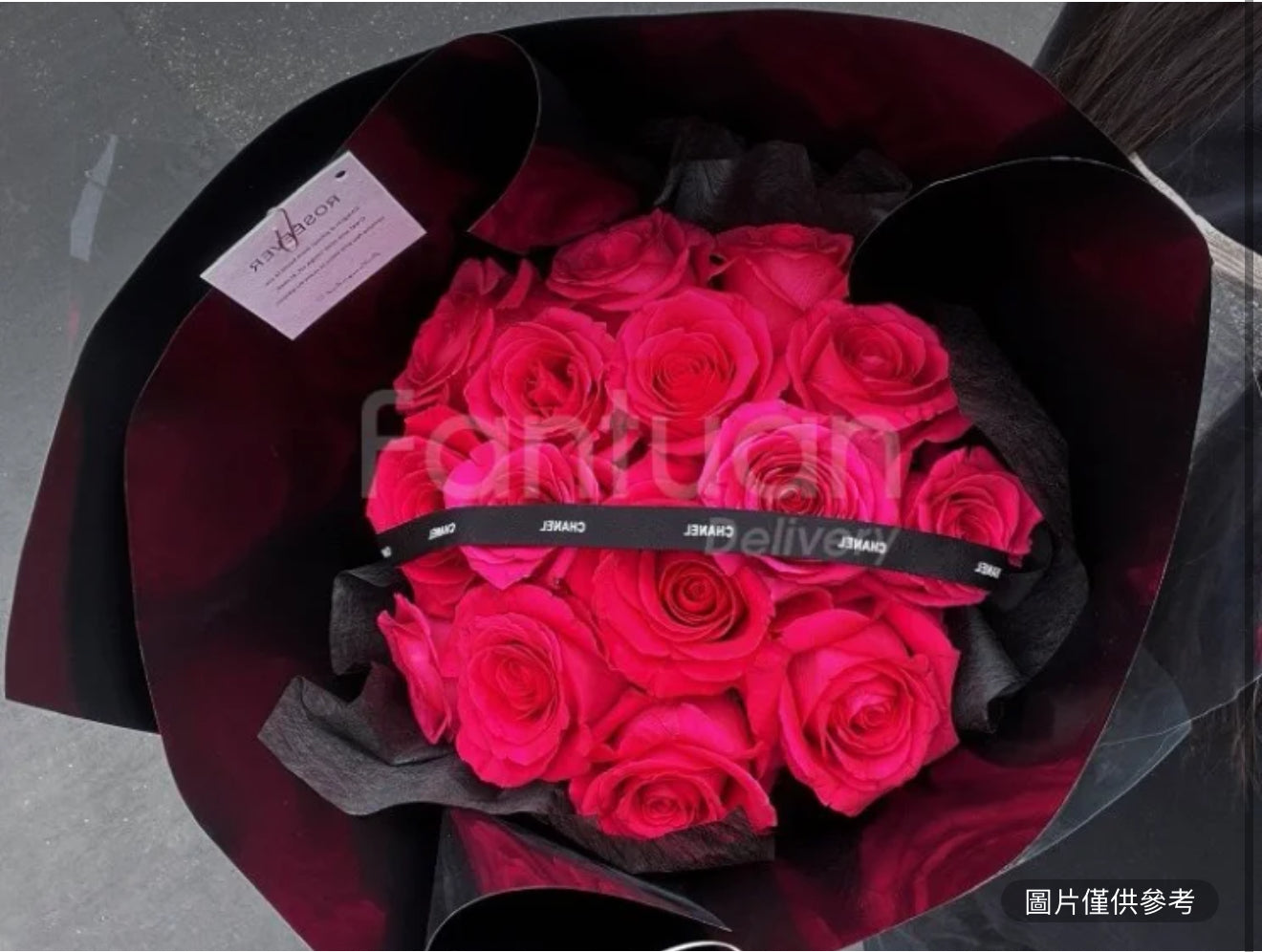 蘭蔻御用玫瑰 佛洛伊德