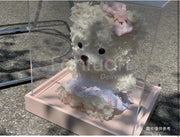 Teddybears 莉娜熊花盒(白粉色)