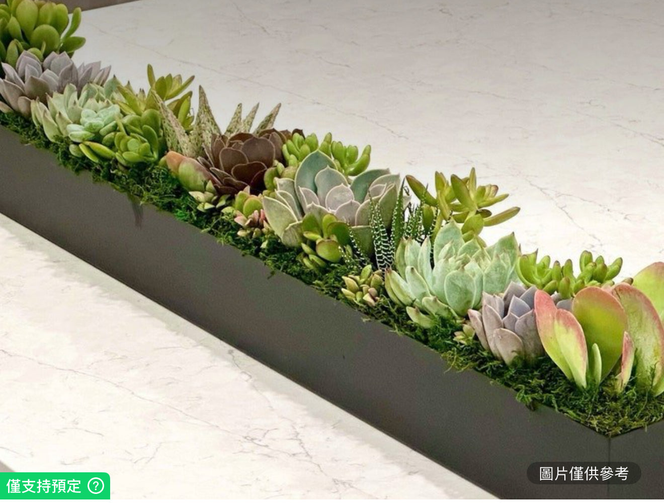 矩形金屬花盆