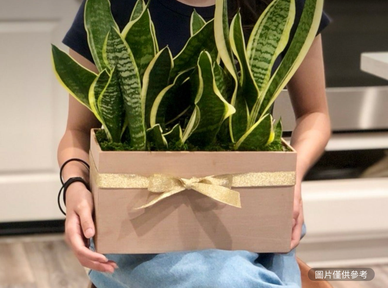 喬遷植物禮物