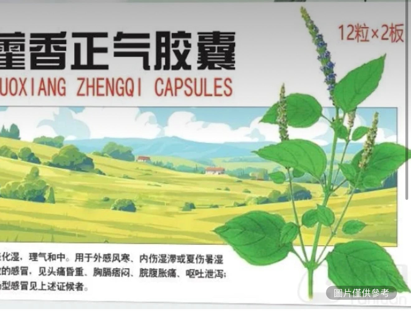 藿香正氣膠囊