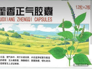 藿香正氣膠囊