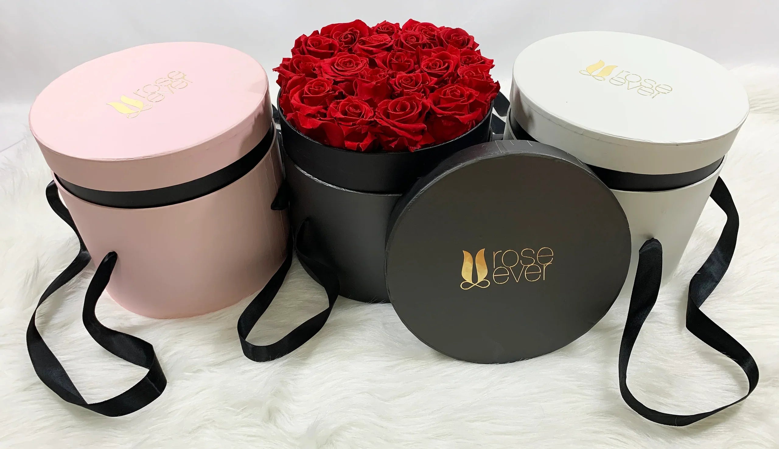 ROSEEVER 永生花
