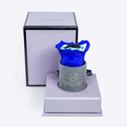 灰色絨面小圓帽盒中的邪惡之眼標誌