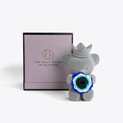 邪惡之眼標誌泰迪玫瑰熊