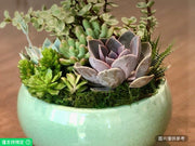 圓形8英吋陶瓷葡萄